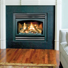 Gas Stoves & Inserts
